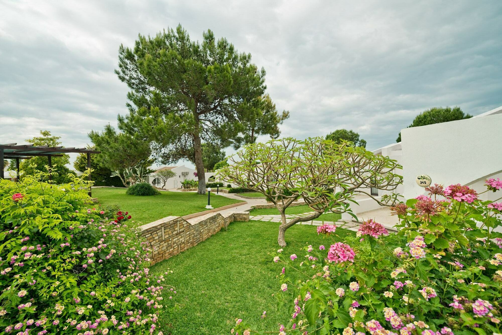 The Olive Tree Hotel Agios Epiktitos Exteriér fotografie