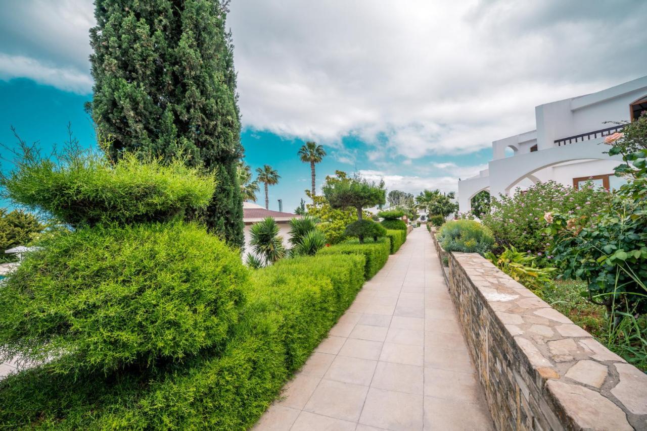 The Olive Tree Hotel Agios Epiktitos Exteriér fotografie