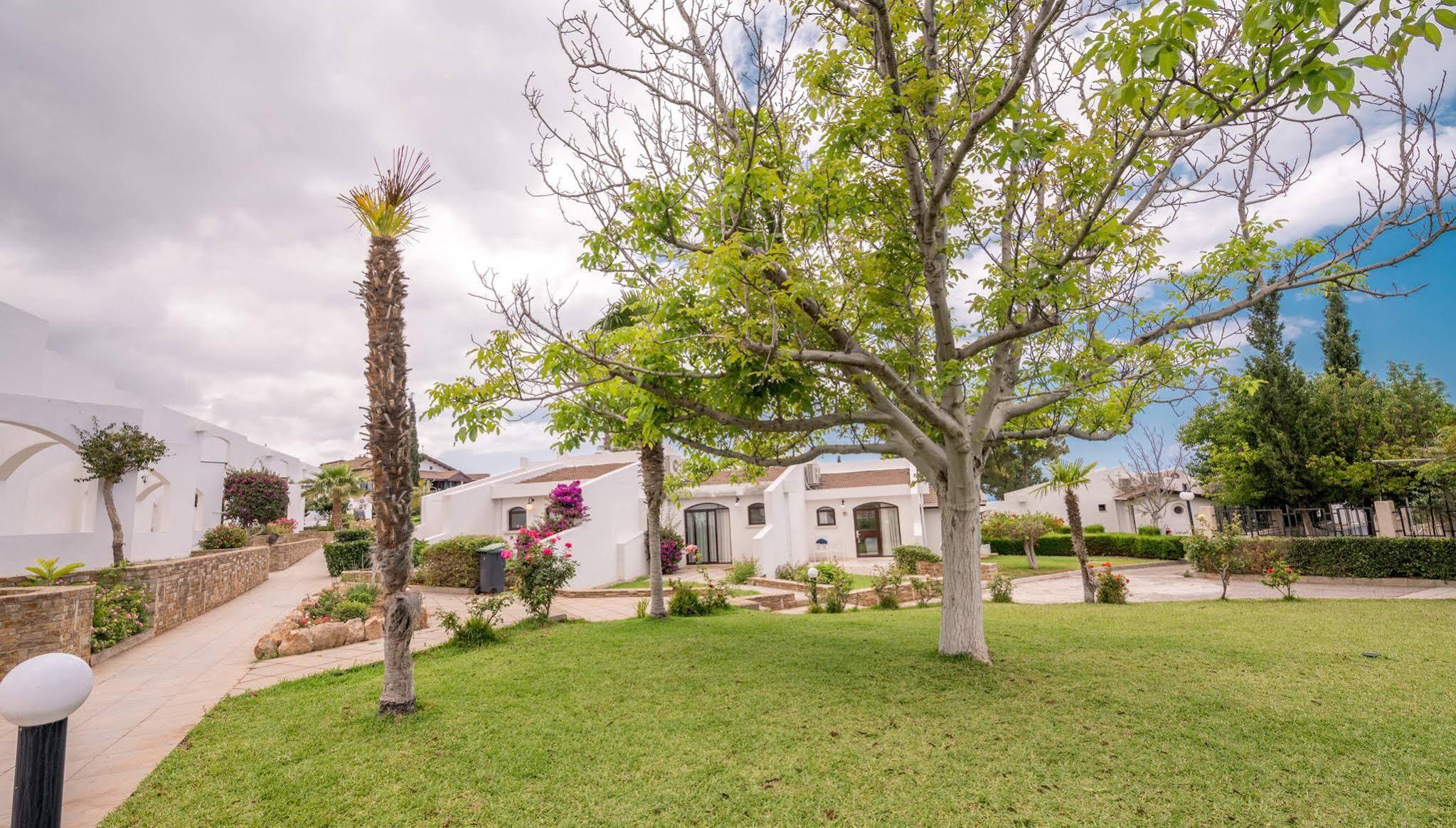 The Olive Tree Hotel Agios Epiktitos Exteriér fotografie